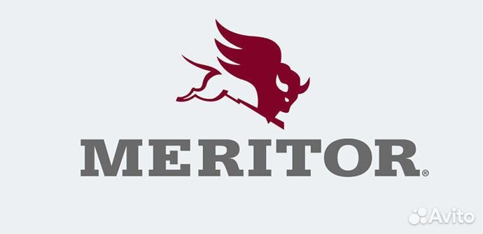 Колодки тормозные 29061 248х109х30 DAF\MB\MAN\BPW\