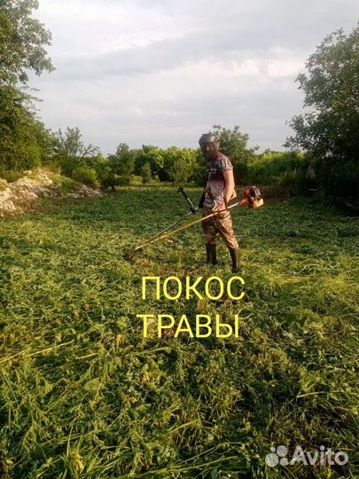 Покос травы