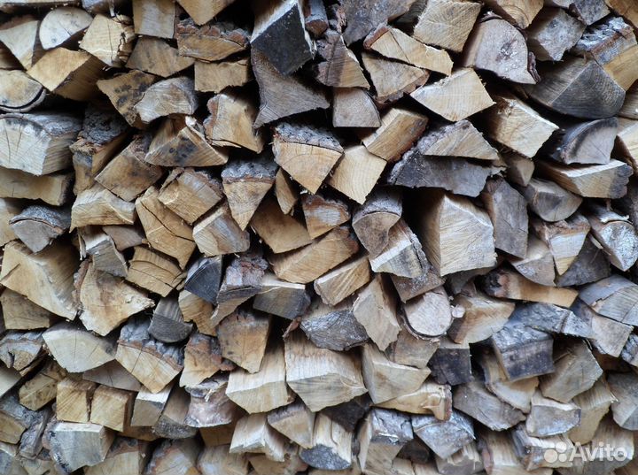 Дрова береза