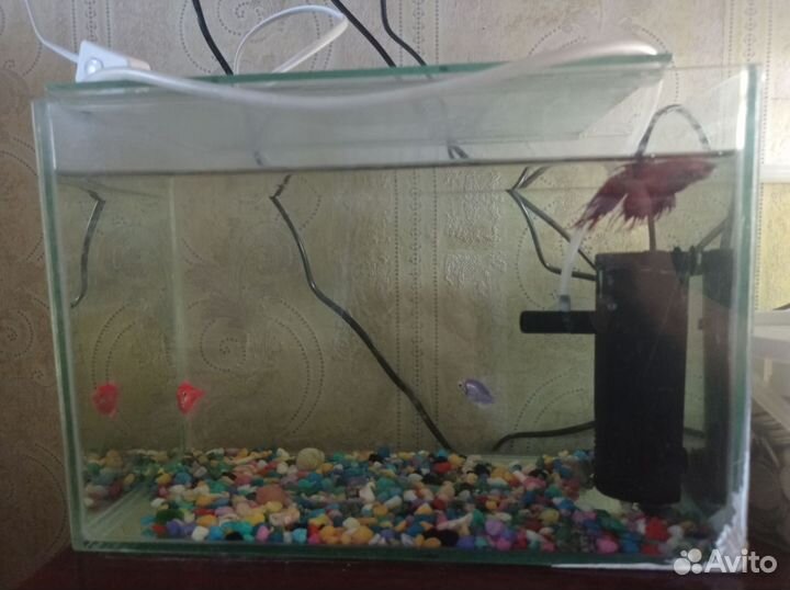 Аквариум