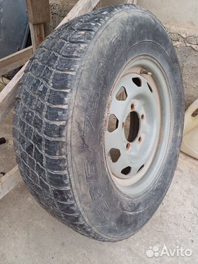Accelera Accelera 225/75 R16 21D