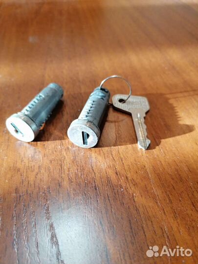 Личинка на Ваз