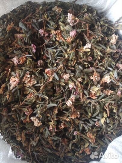 Саган дайля