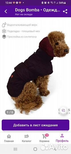 Одежда для собак
