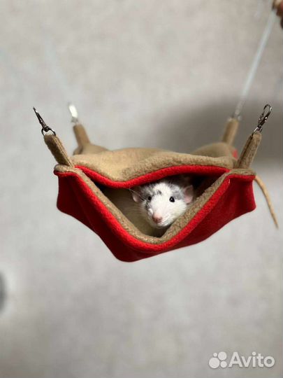 Гамак для грызунов