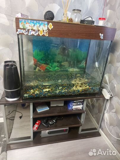 Аквариум с тумбой 200 литров