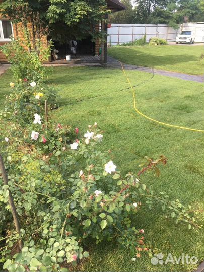 Укладка рулонного газона стандарт