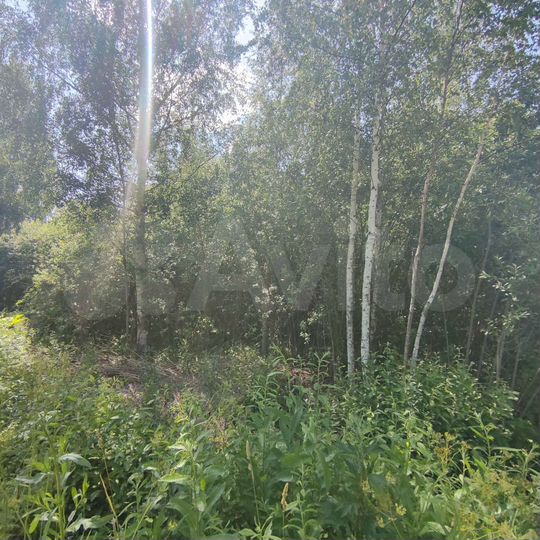 Участок 8 сот. (СНТ, ДНП)