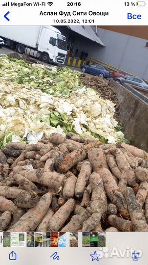 Приму в дар овощи и др. Пищевые отходы