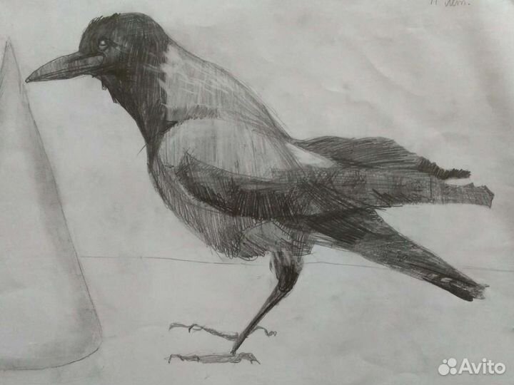 Репетитор преподаватель рисования изо