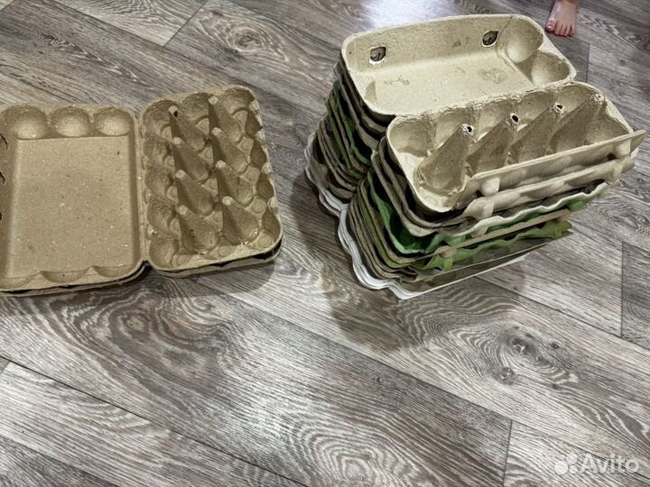 Лотки для яиц