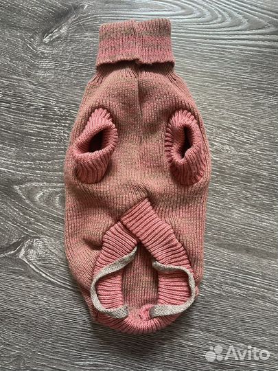 Одежда для собак