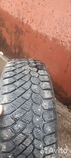 Gislaved Nord Frost 200 195/65 R15