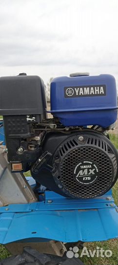 Мотоблок Нева