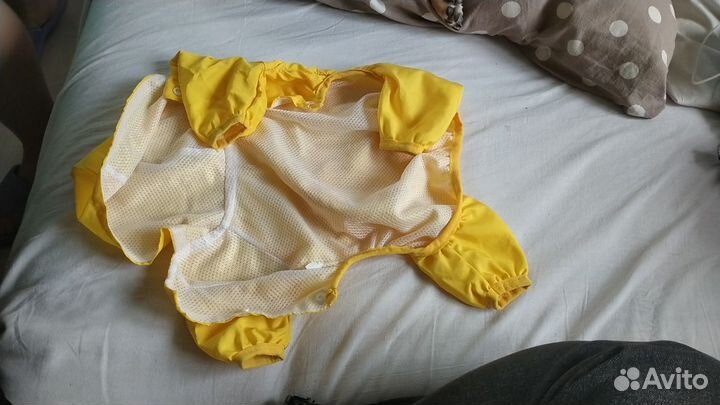 Костюмы для маленьких собак