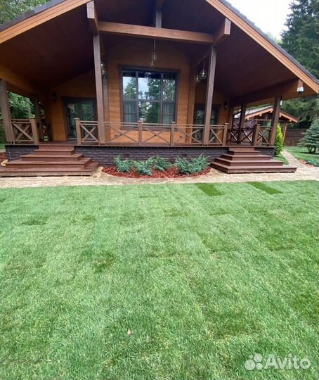 Рулонный газон / под ключ