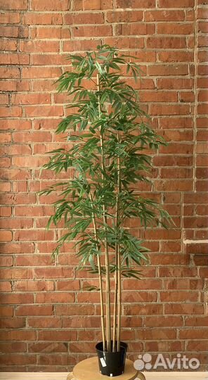 Бамбук искусственный