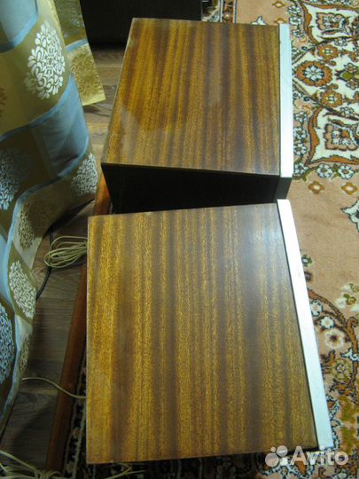 Акустическая система и магнитоэлектрофон Романтика