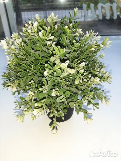 Искусственные цветы из IKEA