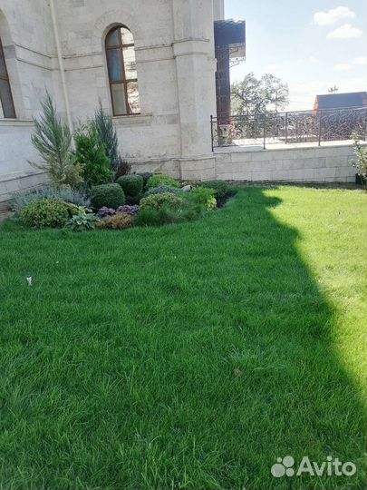 Ландшафтный дизайн и озеленение. кмв