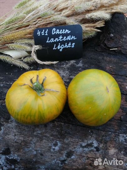 Семена редких коллекционых помидор