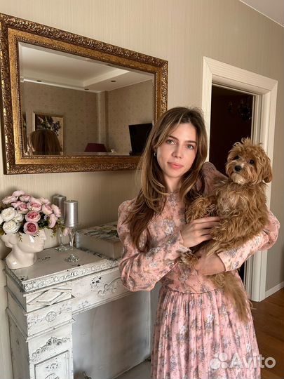 Репетитор по английскому языку