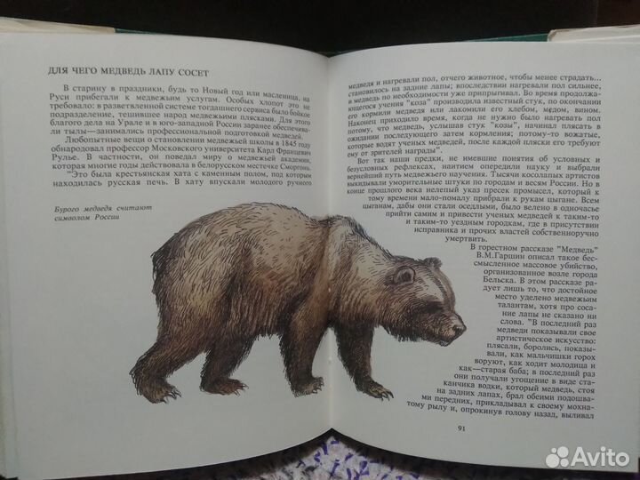 Замечательные звери. С.Старикович