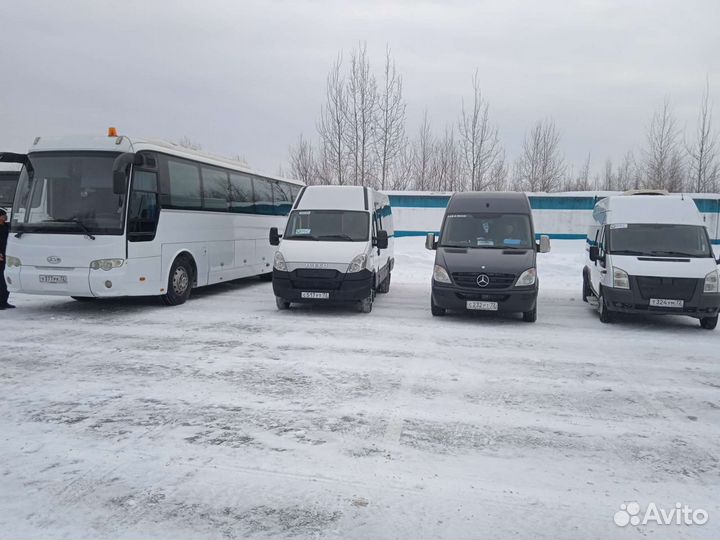 Заказ Аренда Автобусов Микроавтобусов