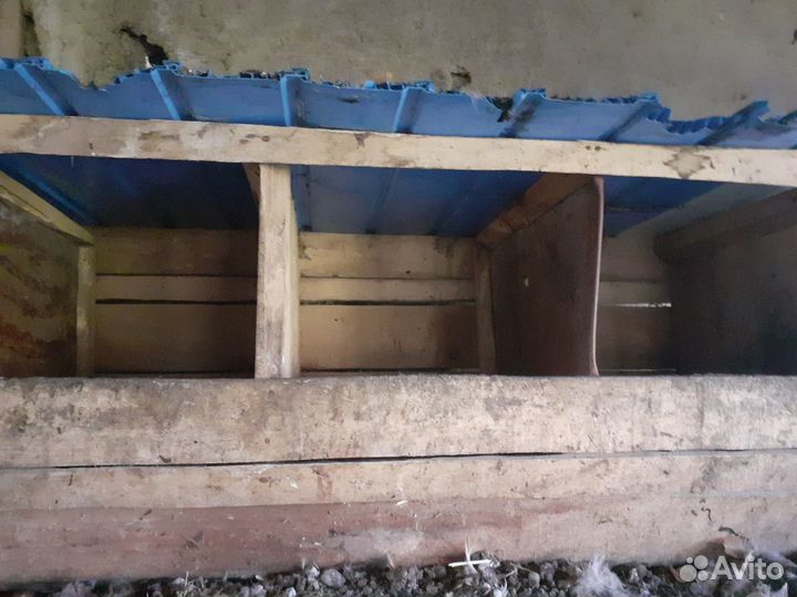 Гнездо куриное-5 ячеек