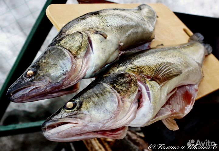 Рыба. Копченая