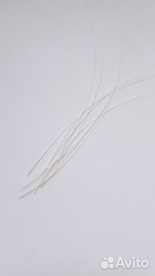 Кошачьи усы