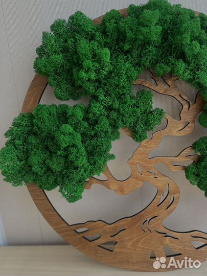 Панно из стабилизированного мха / дерево жизни