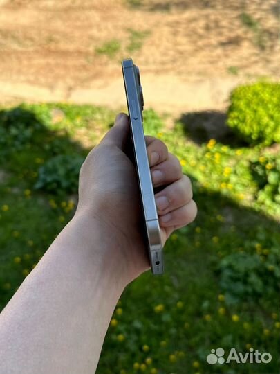 iPhone 15 Pro Max, 256 ГБ