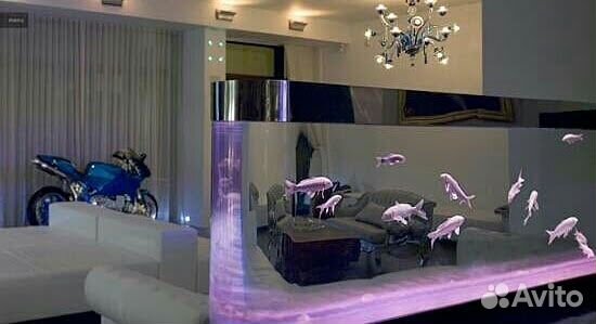 Чистый аквариум обслуживание аквариумов