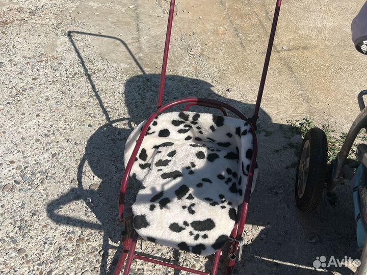 Коляска и сани бесплатно