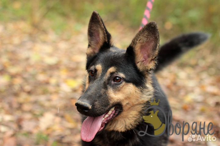 Прекрасная Фиджи