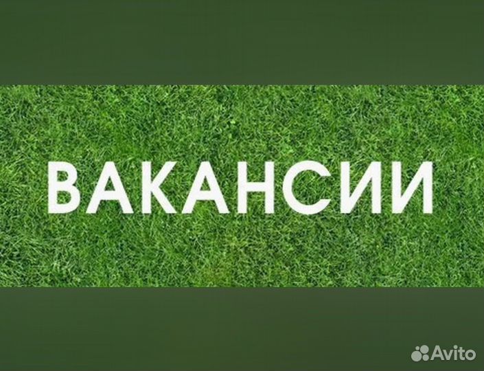 Упаковщик Работа вахтой Аванс еженедельно жилье /е