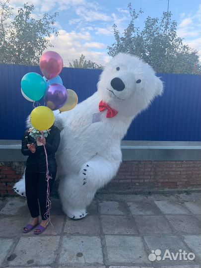 Аренда костюма медведя по часам