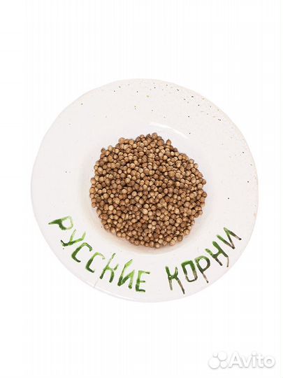 Плоды Кориандра от невроза и стресса