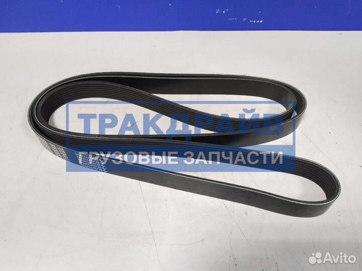 Ремень поликлиновой DAF CF75