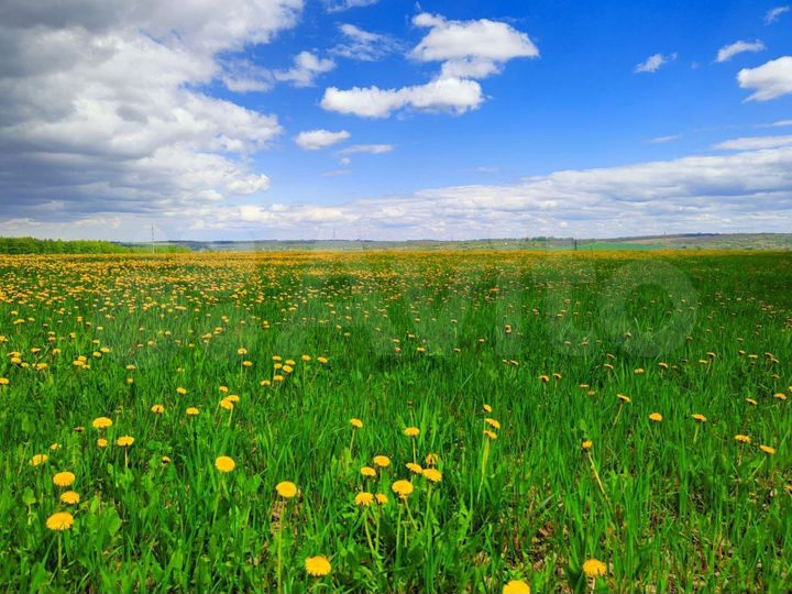 Участок 25 сот. (ИЖС)