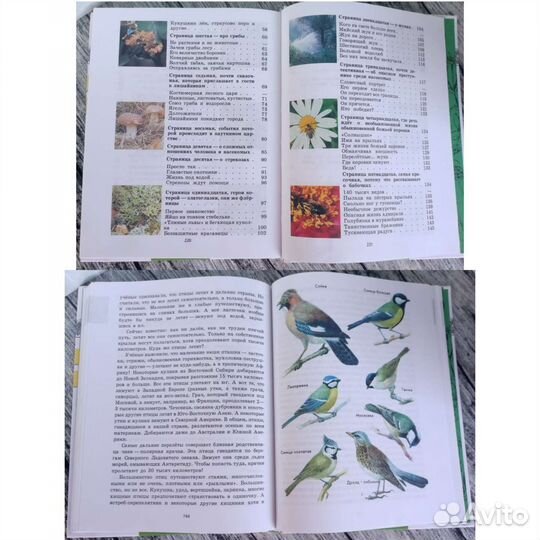 Плешаков зеленые страницы