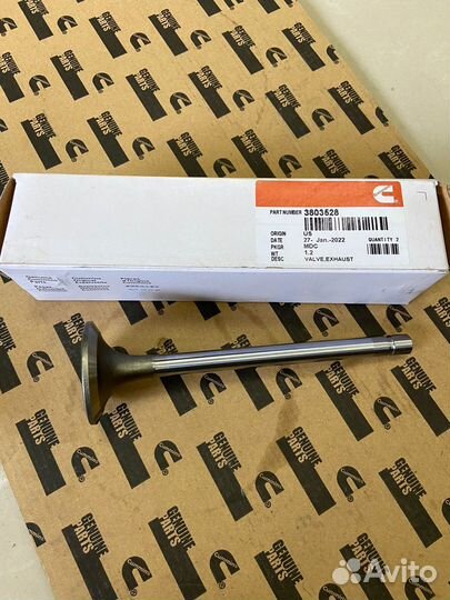 Клапан впускной Cummins KTA50 KTA38 KTA19