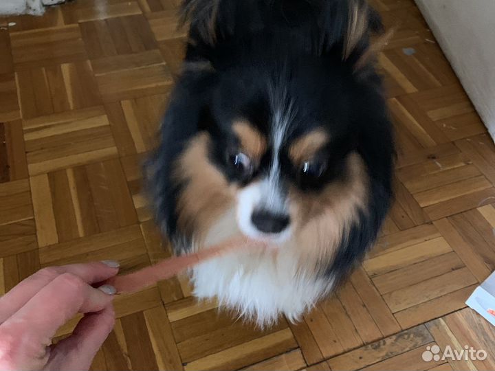 Филе индейки сушенное