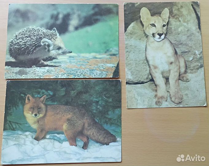 Открытки СССР