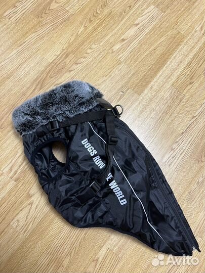 Жилетка для собак