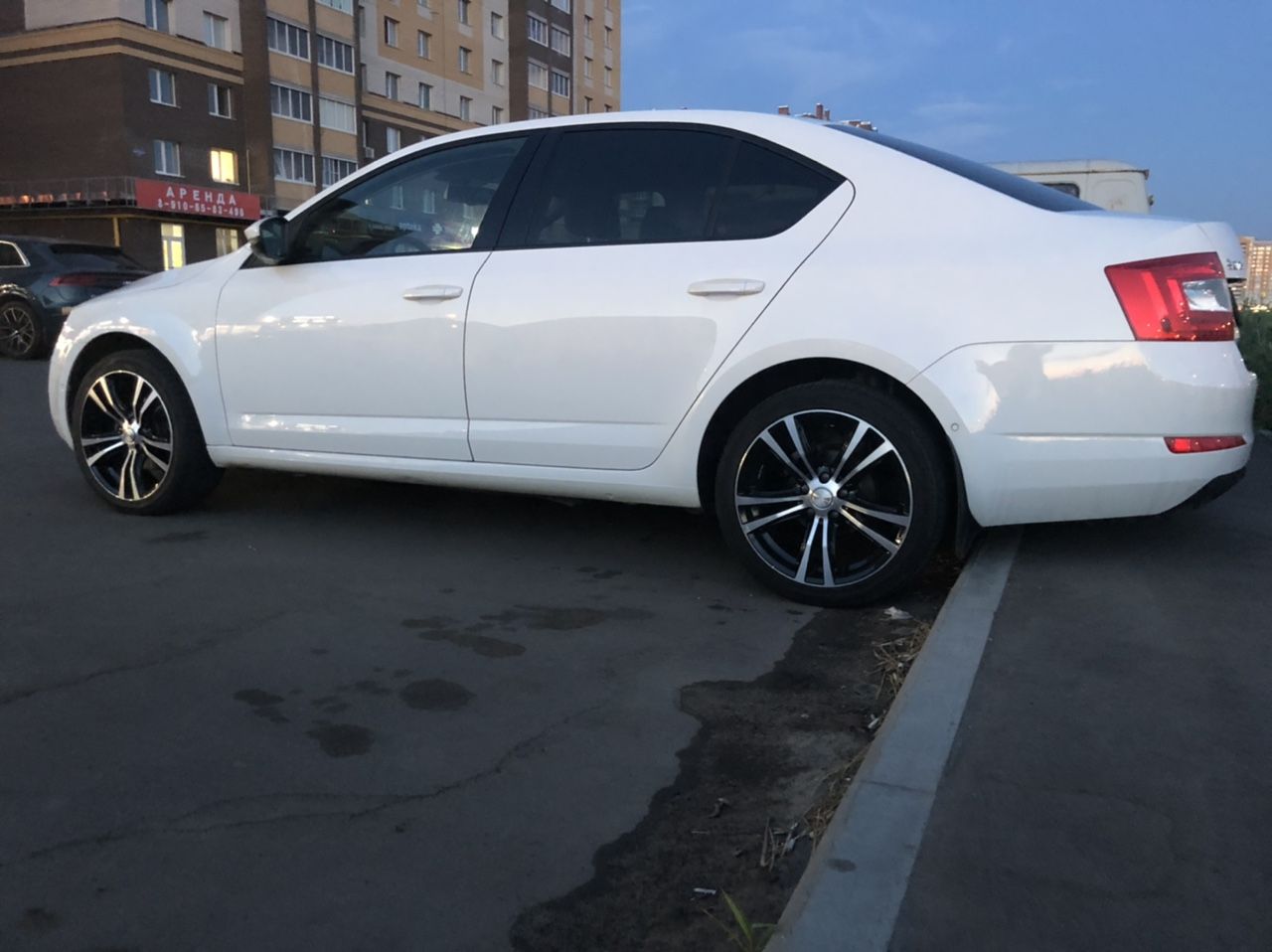 Skoda Octavia: фото владельца