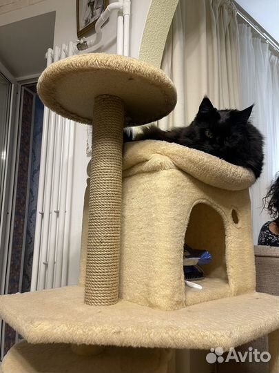 Дом для кошки
