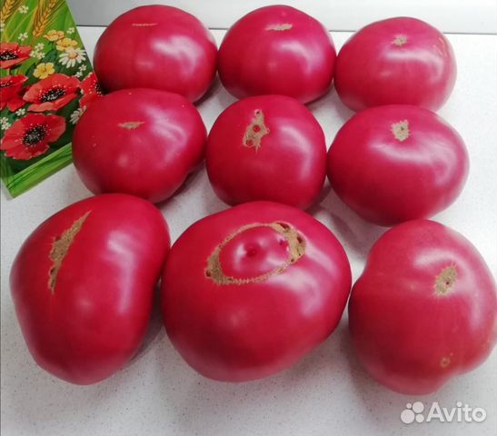 Семена вкуснейших помидоров