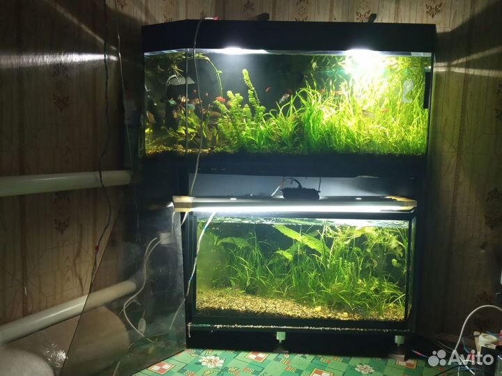 Аквариум
